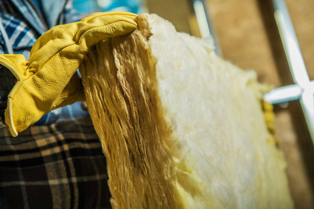 Best Specialty Insulation in Raymond, MS