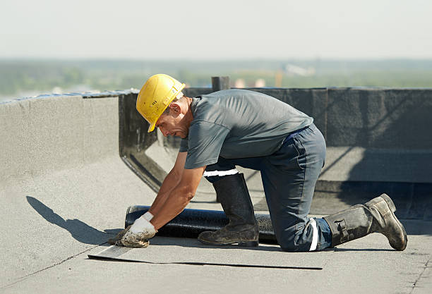 Best Insulation Installation Services in Raymond, MS
